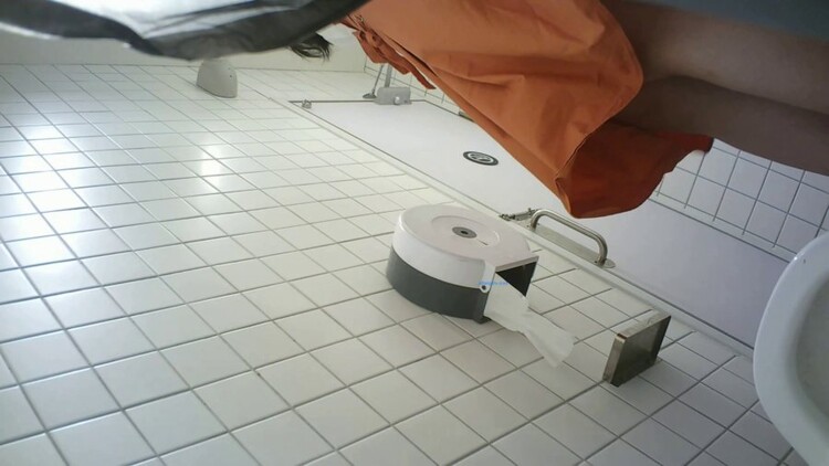 2033 Toilet POV Spy